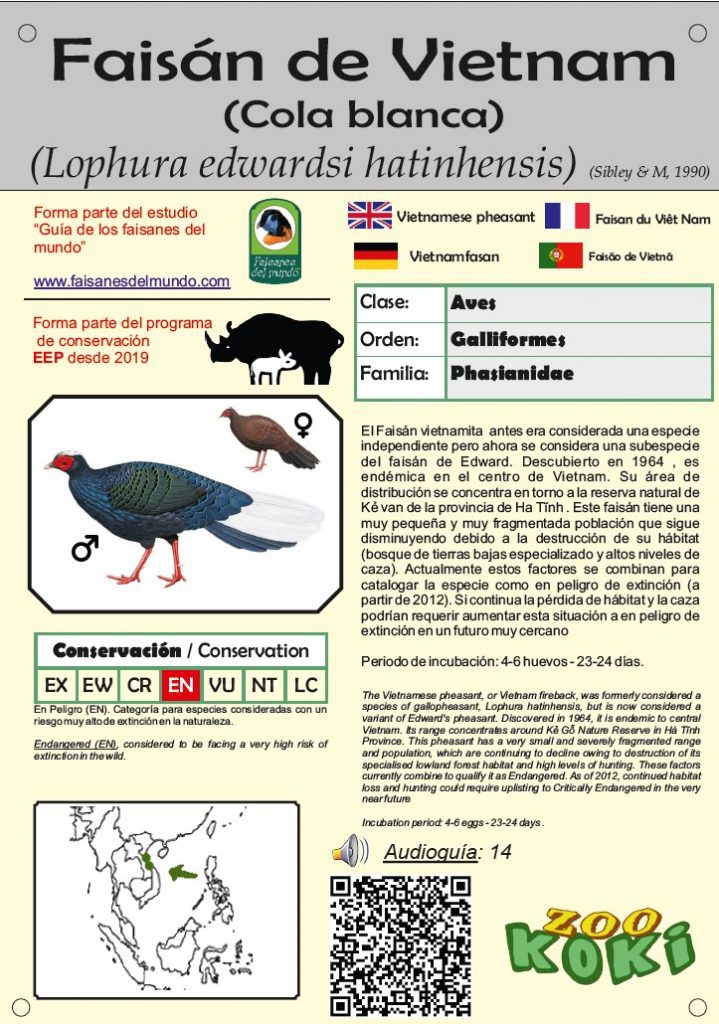 Cartel QR audioguía