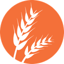 Gluten