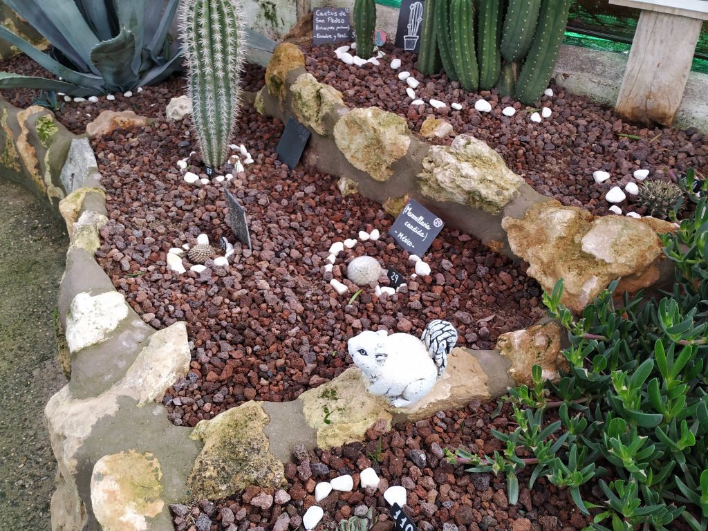 El Cactarium de Zoo Koki