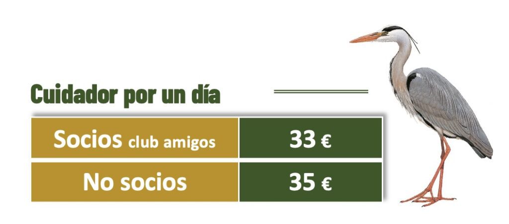 Tarifas Cuidador por un día