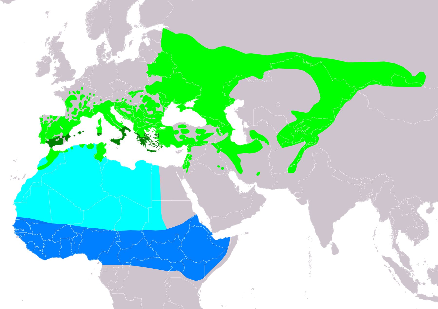 Mapa de distribución de Autillo