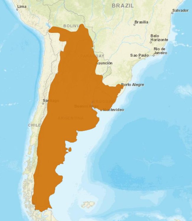 Mapa de distribución de Gato de Geoffroy