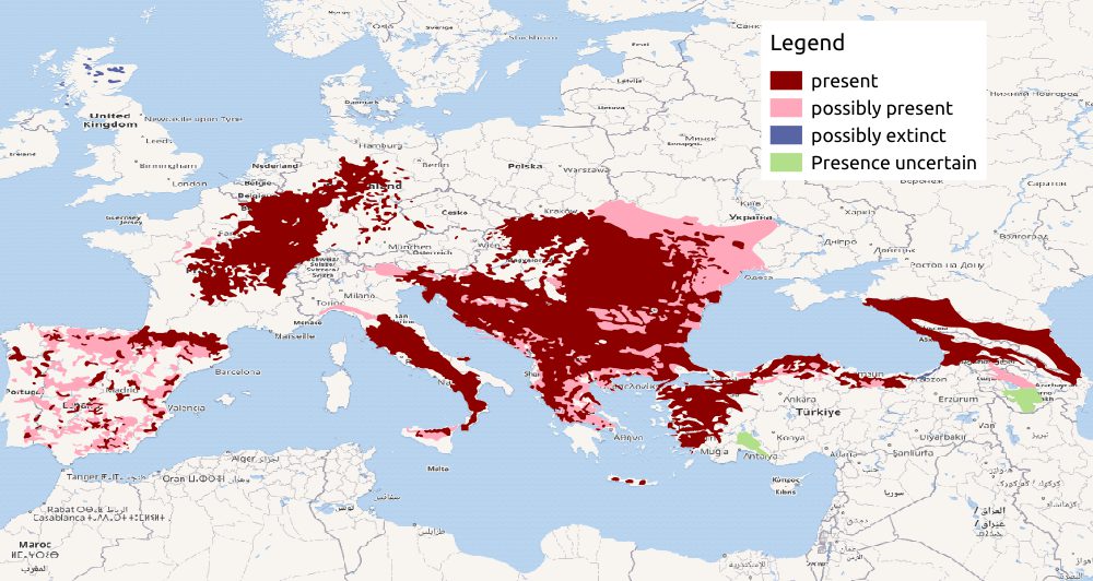 Mapa de distribución de Gato montés Europeo