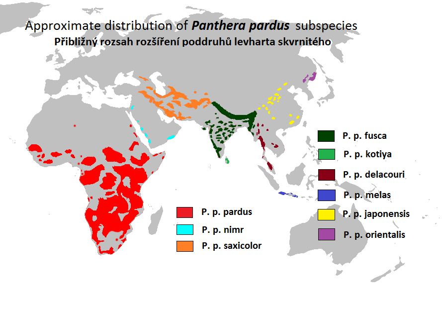 Mapa de distribución de Leopardo