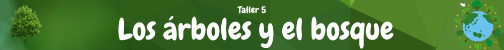 Taller de los árboles y el bosque
