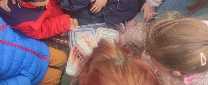 Taller Selva Gastronómica