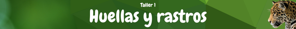 Taller 1: Huellas y rastros