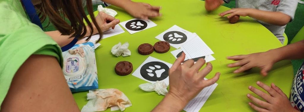Taller de huellas y rastros