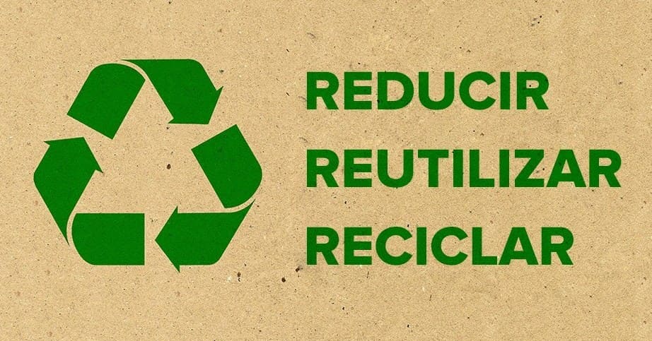 Taller Reciclazoo