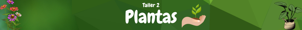 Taller 2: Plantas