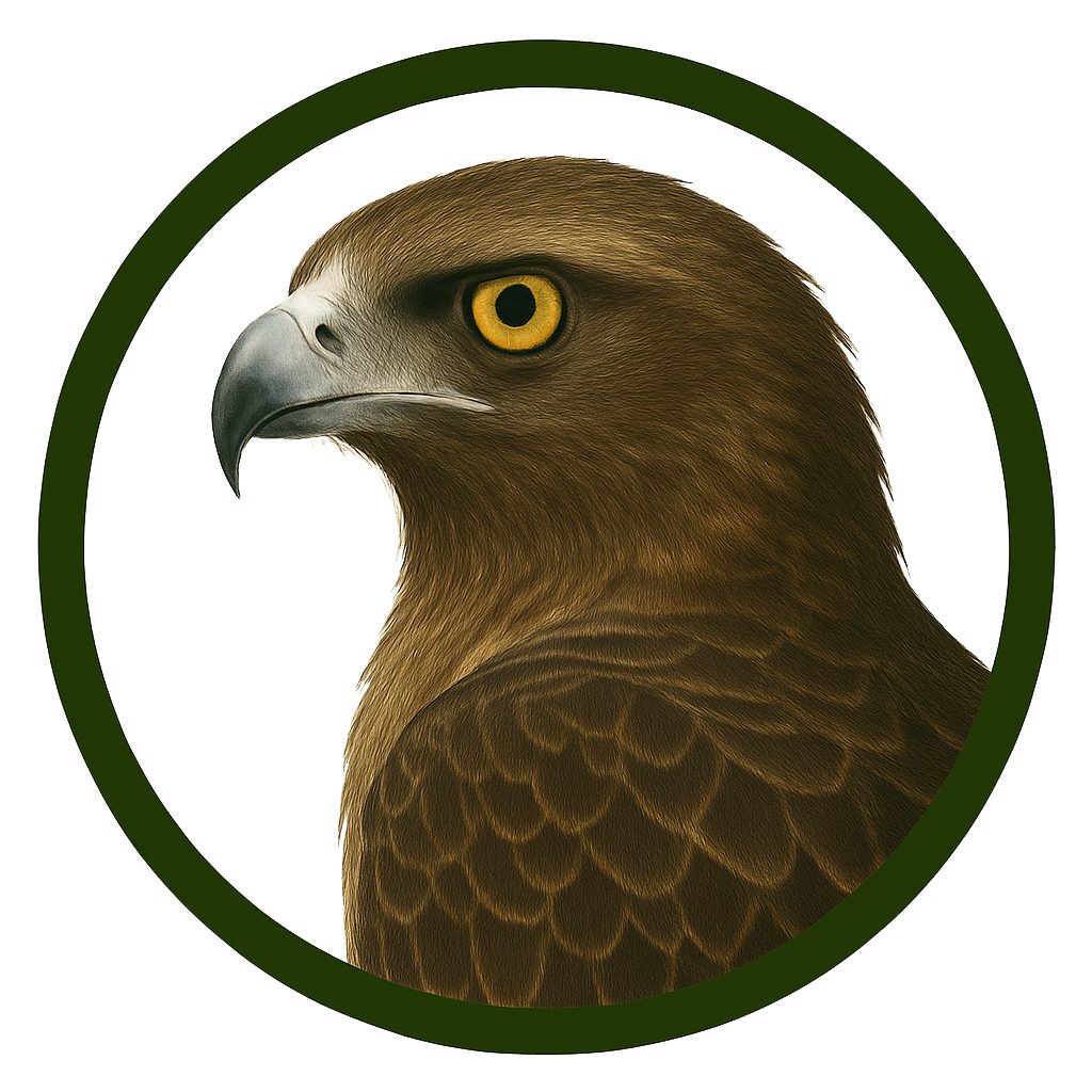 Águila culebrera