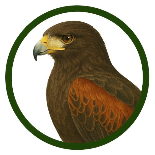 Águila Harris