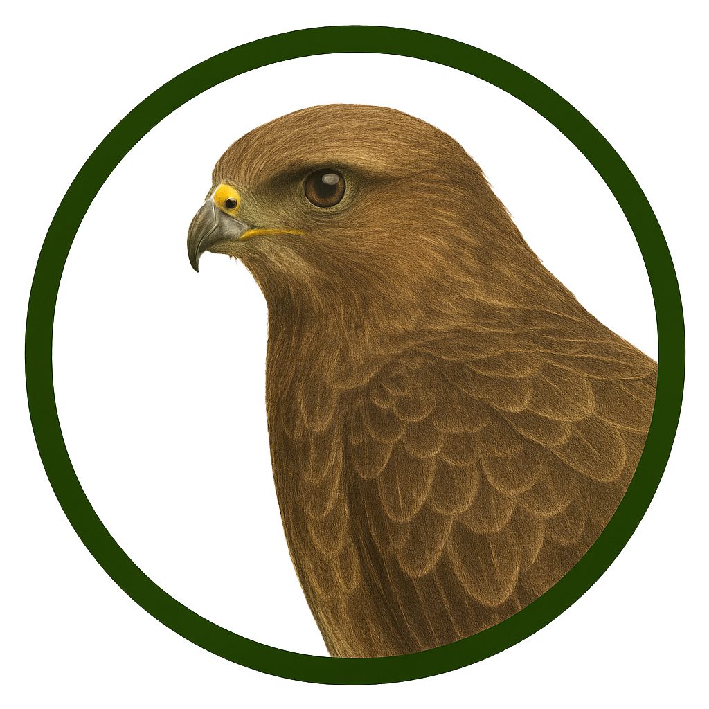 Águila ratonera