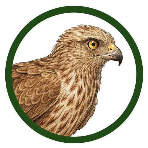 Aguilucho lagunero