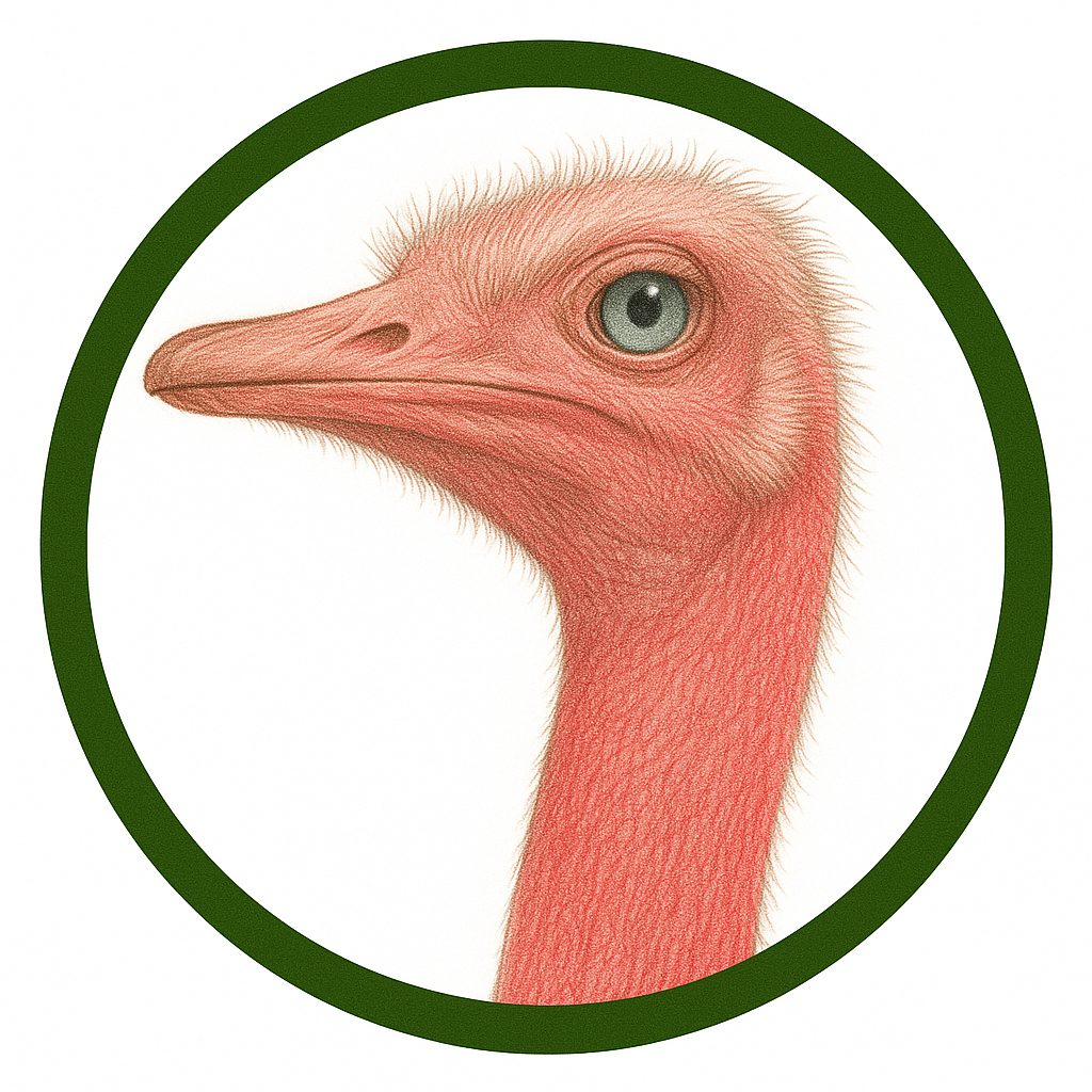 Avestruz Masai
