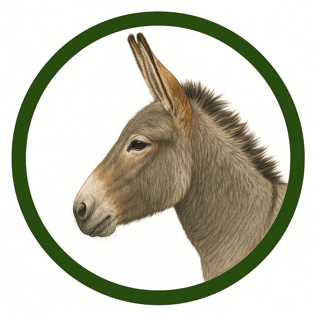 Burro africano