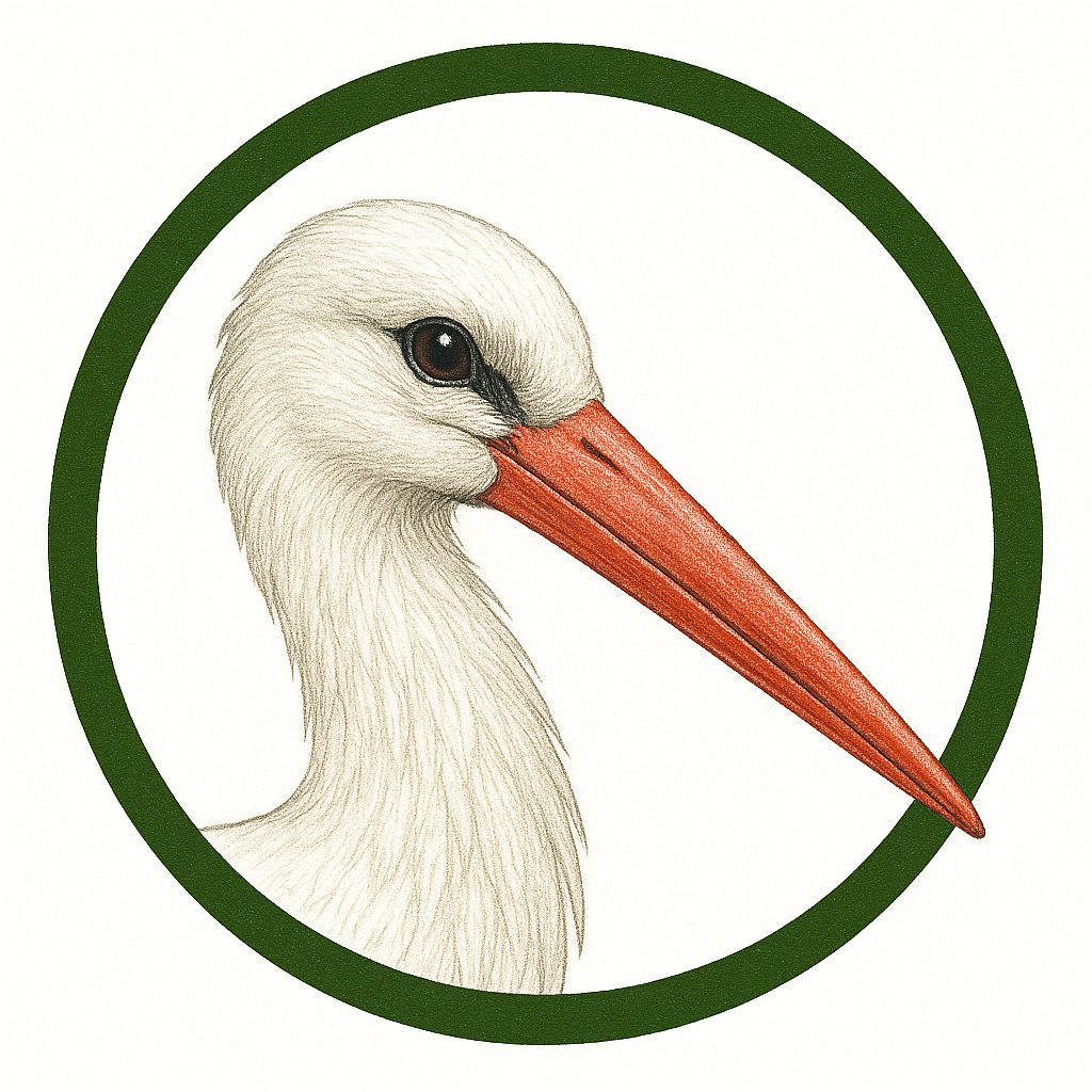 Cigüeña blanca