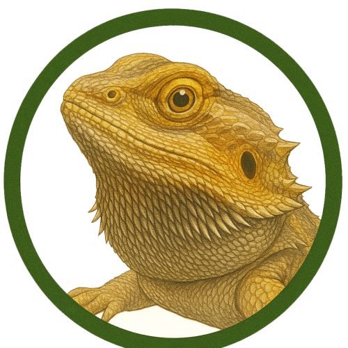Dragón barbudo