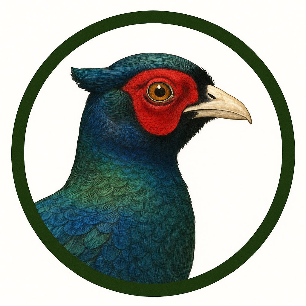 Faisán verde