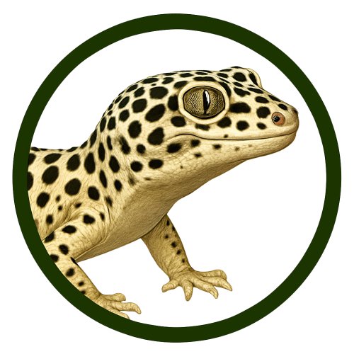 Gecko leopardo