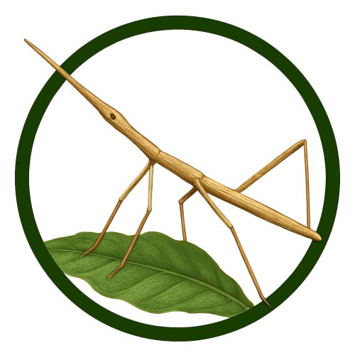 Insecto palo