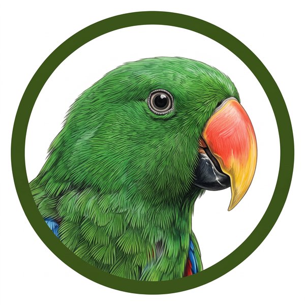 Loro eclecto