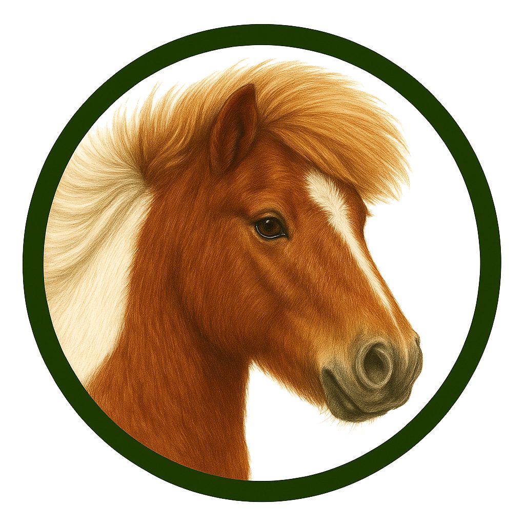 Pony