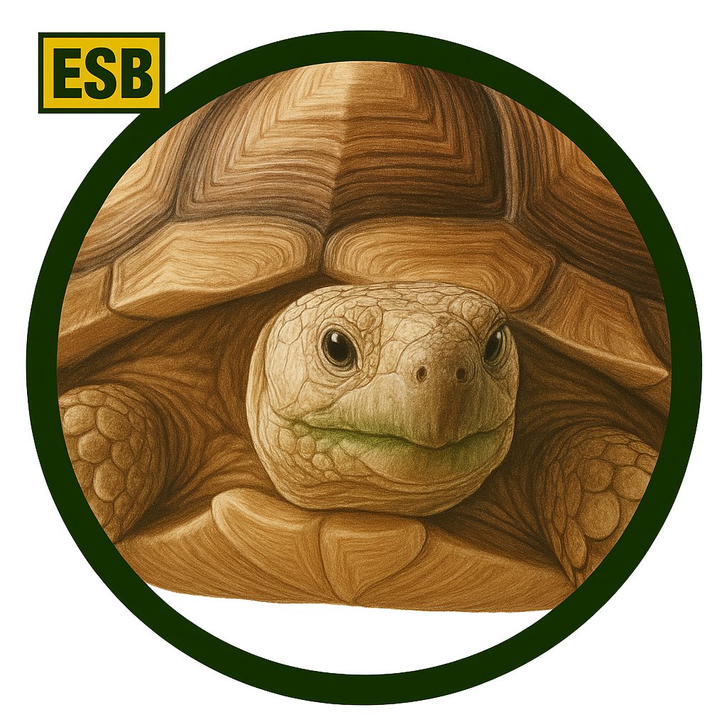Tortuga de espolones