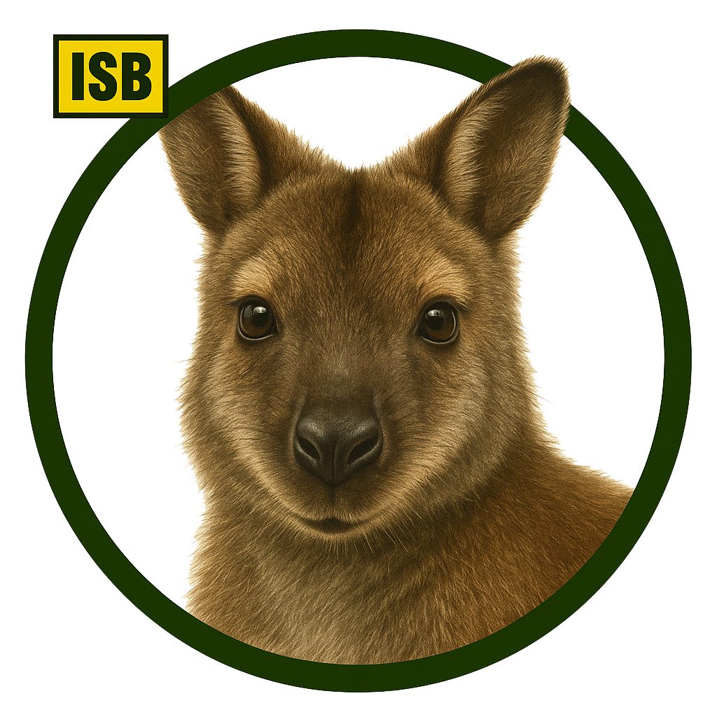 Wallaby de Bennet