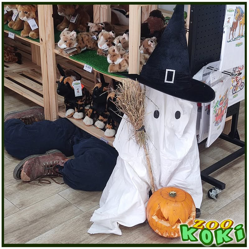 Fantôme avec un chapeau de sorcière et une citrouille dans la boutique du zoo