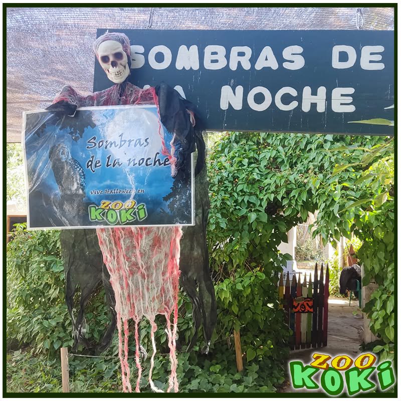 Décoration d'Halloween à l'entrée de la zone Sombras de la noche