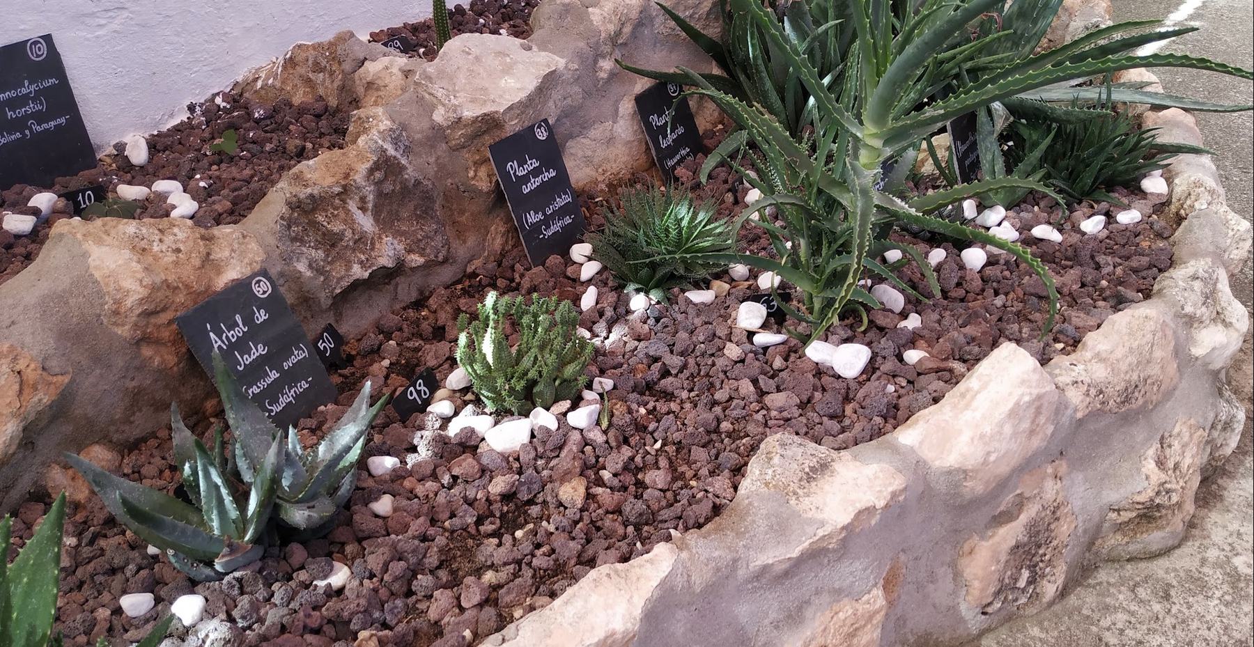 Le Cactarium
