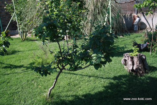 Jardín botánico