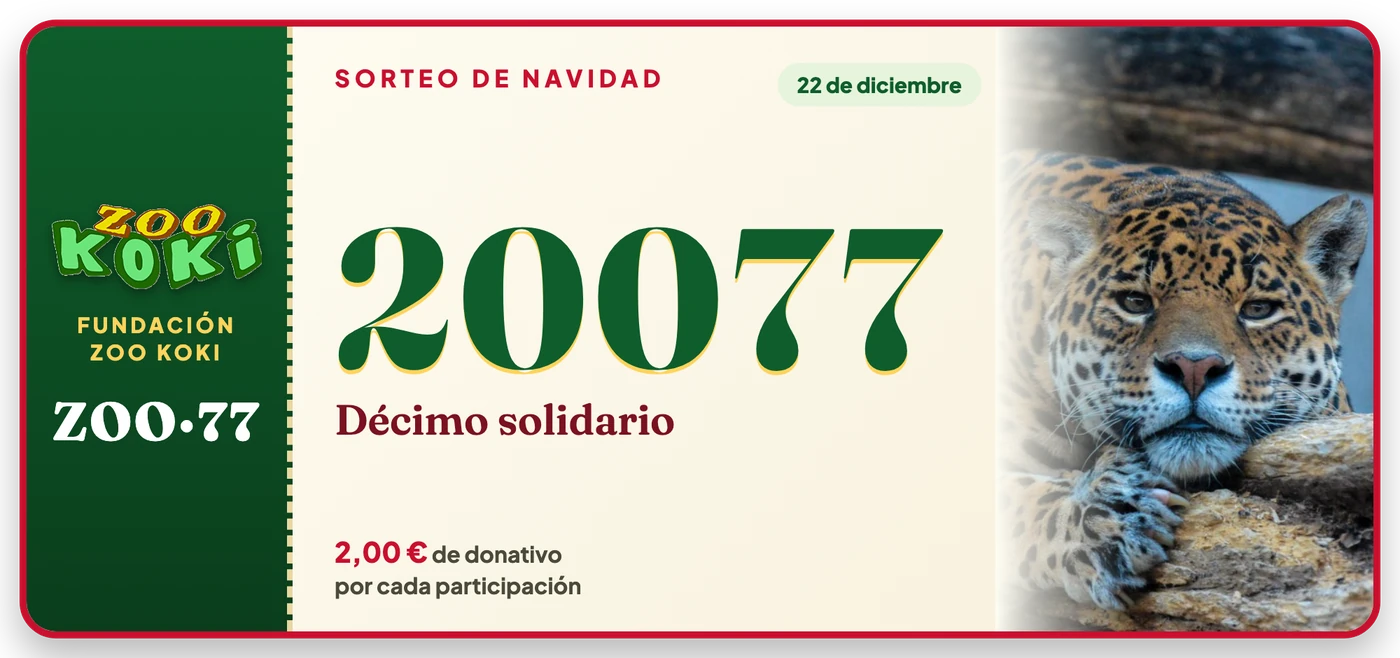 Décimo de la Lotería de Navidad de la Fundación Zoo Koki, número 20077