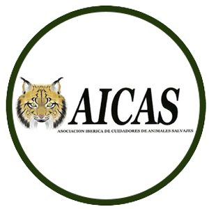 AICAS