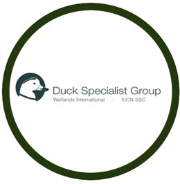 Duck Specialist Group