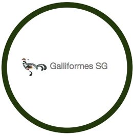 Galliformes SG