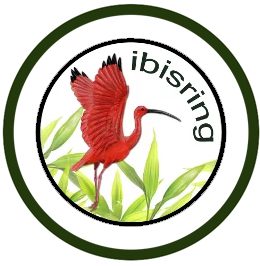 Ibis Ring