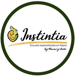 Instintia