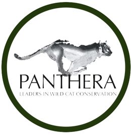 Panthera