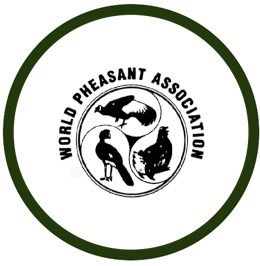 WPA