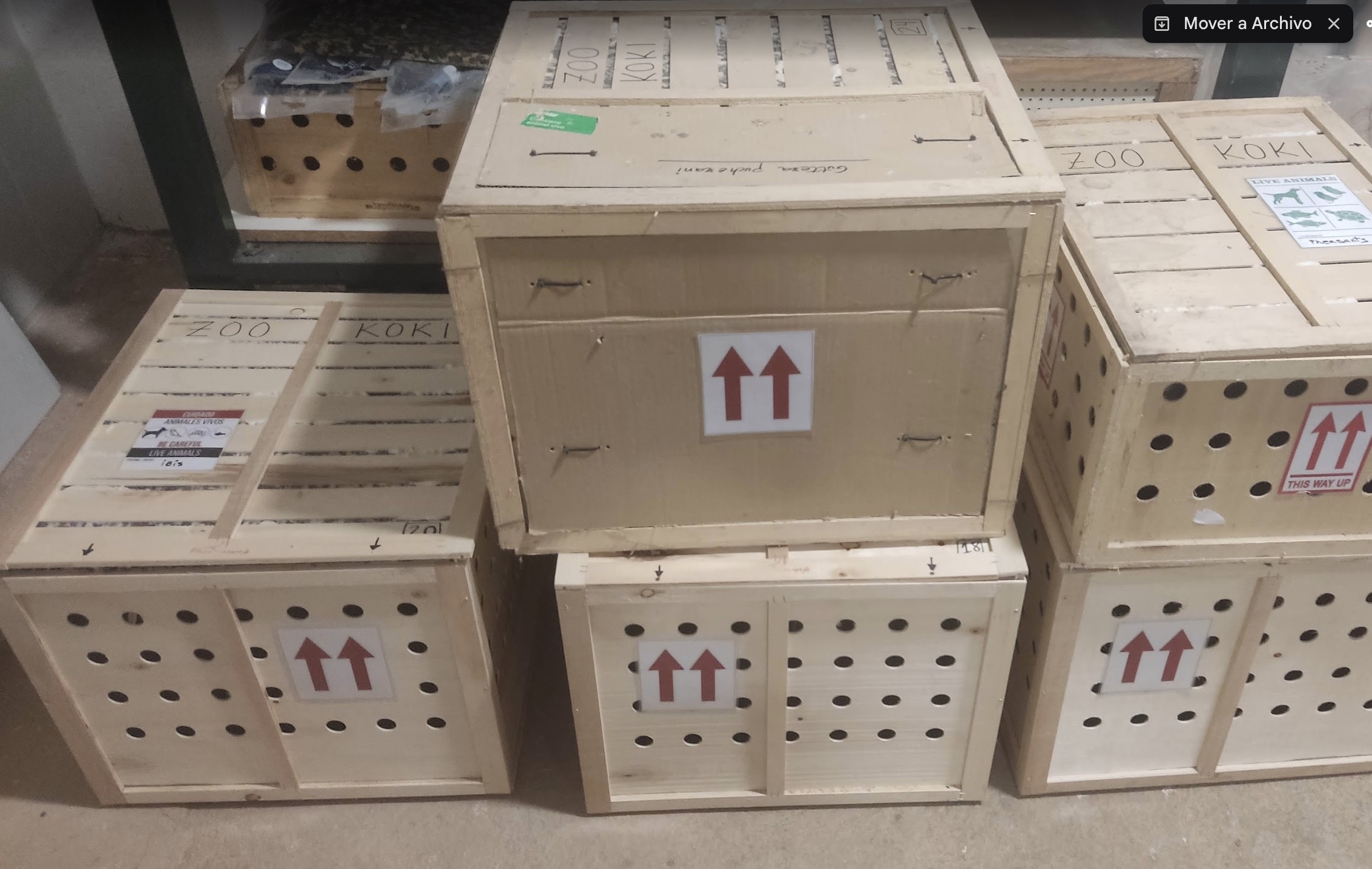 Transport crates for moving Zoo Koki specimens