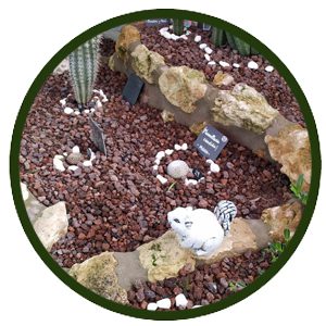 El Cactarium