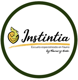 Instintia
