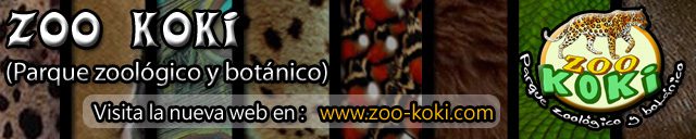 Banner Zoo Koki