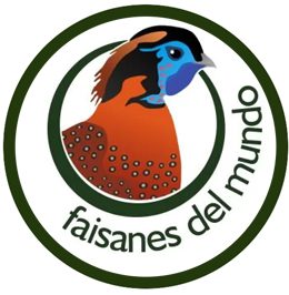Faisanes del Mundo