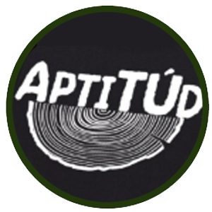 Proyecto Aptitud