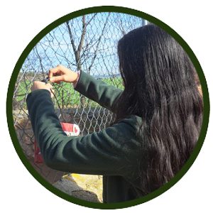 Programa de voluntariado