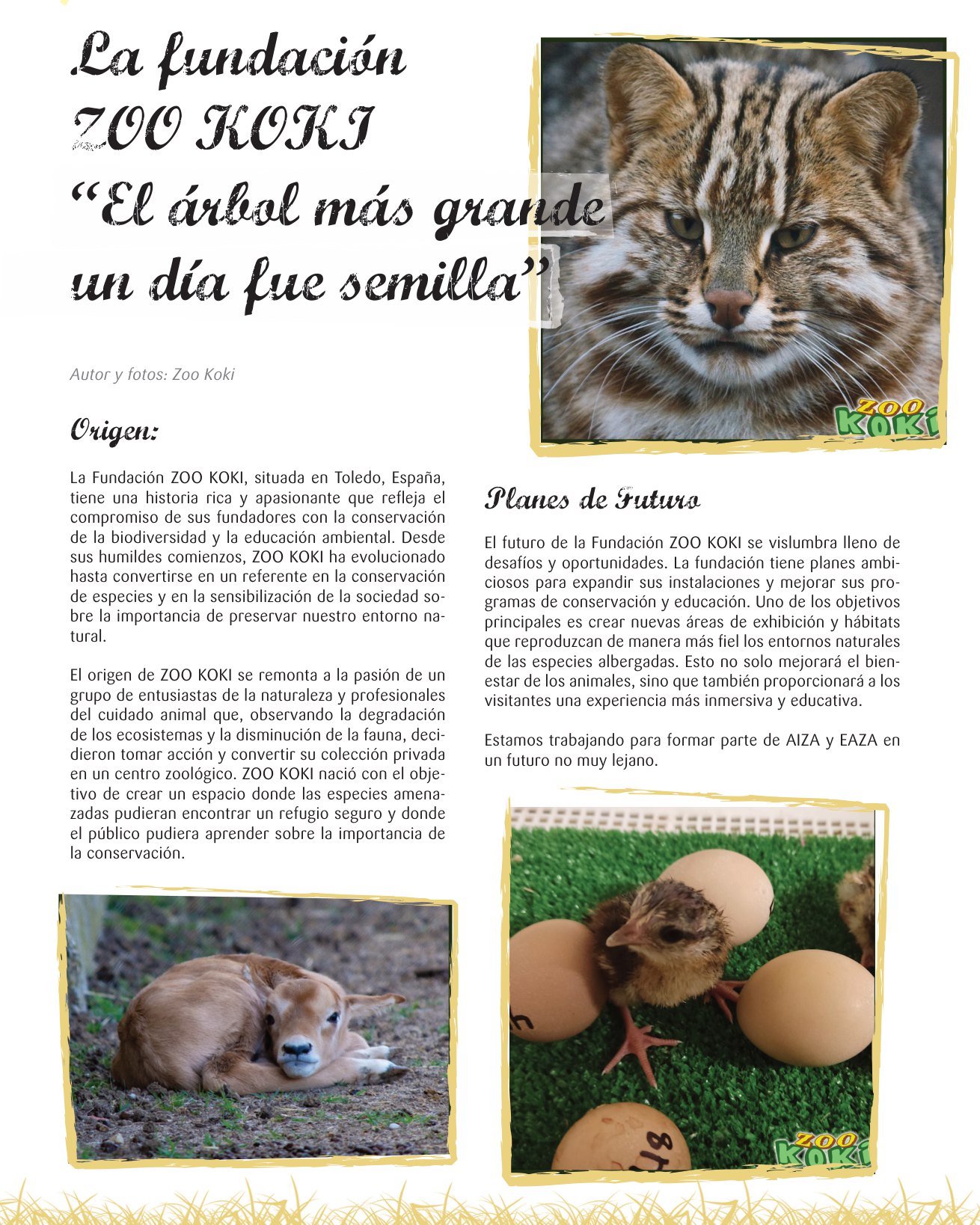 Página de la revista Aicas con el artículo sobre la Fundación Zoo Koki