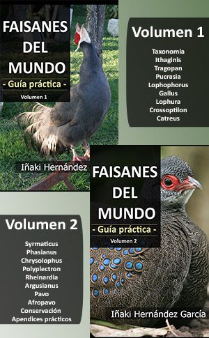 Faisanes del mundo. Guía práctica